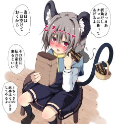 Rule 34 | 1girl, animal ears, blush, candy, chocolate, chocolate bar, food, heart, heart-shaped pupils, lolimate, mouse (animal), mouse ears, mouse tail, nazrin, solo, symbol-shaped pupils, tail, touhou, translation request