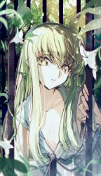 Rule 34 | 1girl, blurry, blurry foreground, breasts, c.c., cleavage, code geass, collarbone, creayus, dappled sunlight, flower, green hair, hair between eyes, highres, lily (flower), long hair, looking at viewer, parted lips, sketch, sleeveless, small breasts, solo, straight hair, sunlight, upper body, very long hair, white flower, yellow eyes