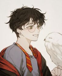 Rule 34 | 1boy, animification, bird, black-framed eyewear, black coat, black hair, blush, closed eyes, coat, collarbone, fang, feathered wings, glasses, green eyes, grey shirt, gryffindor, hair between eyes, hand up, harry potter, harry potter (series), hedwig, highres, hogwarts school uniform, lightning scar, long sleeves, male focus, necktie, open clothes, open coat, owl, ranpang 117, red necktie, round eyewear, school uniform, shirt, short hair, simple background, smile, striped, striped necktie, teeth, upper body, white background, wings, wizarding world