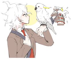 Rule 34 | 1boy, ahoge, animal, animal on hand, attack, bag, bird, blazer, blush, brown jacket, buttoned cuffs, buttons, closed mouth, cockatoo, collared shirt, cropped torso, danganronpa (series), danganronpa 3 (anime), green eyes, green vest, hope&#039;s peak academy school uniform, jacket, komaeda nagito, lapels, layered sleeves, long sleeves, looking at animal, male focus, messy hair, multiple views, navel, necktie, red necktie, red vest, school uniform, seumol sx, shirt, short hair, shoulder bag, two-tone vest, upper body, vest, wavy hair, white bird, white hair, white shirt