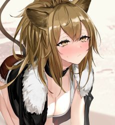 Rule 34 | 1girl, absurdres, all fours, animal ears, arknights, black choker, black jacket, blush, breasts, brown hair, choker, cleavage, closed mouth, commentary, eyelashes, feet out of frame, fur-trimmed jacket, fur-trimmed shorts, fur trim, hair between eyes, half-closed eyes, highres, jacket, lion ears, lion girl, lion tail, long hair, medium breasts, neko no youchuu, open clothes, open jacket, ponytail, red shorts, short shorts, shorts, siege (arknights), solo, sweatdrop, tail, tank top, white tank top, yellow eyes