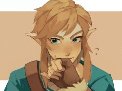 Rule 34 | 1boy, blonde hair, blush, brown background, closed mouth, commentary request, fingerless gloves, flying sweatdrops, gloves, green eyes, green shirt, highres, link, nintendo, pisu 1107, pointy ears, portrait, shirt, solo, sweatdrop, the legend of zelda, the legend of zelda: breath of the wild, white background