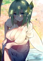 Rule 34 | aged up, alternate breast size, bad id, bad twitter id, blouse, blue eyes, breasts, cleavage, clothes lift, commentary, cowboy shot, daiyousei, fairy wings, green hair, hair between eyes, highres, large breasts, lifting own clothes, open clothes, open shirt, outdoors, shirt, side ponytail, sidelocks, solo, standing, touhou, warashi, water, wet, wet clothes, wet shirt, white shirt, wings