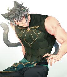 Rule 34 | 1boy, abs, alhaitham (genshin impact), animal ears, artist name, biceps, blue eyes, blush, cat ears, cat tail, claws, compression shirt, feet out of frame, genshin impact, grey hair, highres, looking to the side, male focus, mature male, muscular, muscular male, nalamicha, pants, pectorals, shirt, simple background, sleeveless, solo, spiked hair, tail, tight clothes, twitter username, white background