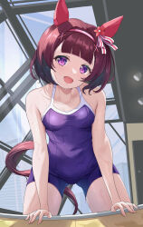 1girl :d absurdres animal_ears blue_one-piece_swimsuit breasts brown_hair collarbone commentary_request ear_covers highres horse_ears horse_girl horse_tail indoors looking_at_viewer maimuu nishino_flower_(umamusume) one-piece_swimsuit open_mouth purple_eyes school_swimsuit short_hair small_breasts smile solo swimsuit tail tracen_swimsuit umamusume wet wet_clothes wet_swimsuit