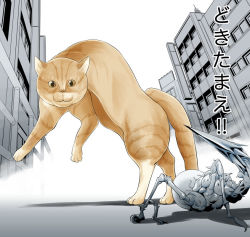 Rule 34 | arched back, cat, gachon jirou, meme, monster, no humans, parody, road, street, tail, text focus, translation request