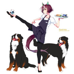 Rule 34 | 1girl, animal, animal ears, apron, ball, brown hair, collarbone, cup, dog, food, full body, highres, holding, horse ears, horse girl, horse tail, multicolored hair, quatraise, shirt, smile, soccer ball, solo, standing, standing on one leg, tail, tanino gimlet (umamusume), twitter username, two-tone hair, umamusume, white background, white hair, white shirt, yellow eyes