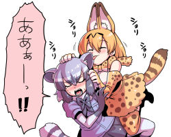Rule 34 | 2girls, animal ears, blonde hair, bow, bowtie, breasts, common raccoon (kemono friends), elbow gloves, gloves, kemono friends, multicolored hair, multiple girls, open mouth, pantyhose, raccoon ears, raccoon tail, serval (kemono friends), serval print, short hair, simple background, skirt, sleeveless, smile, tail, thighhighs, traditional bowtie, tukiwani, white background