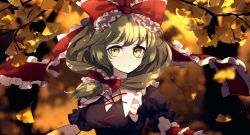 Rule 34 | 1girl, autumn, autumn leaves, bad id, bad twitter id, blurry, blurry background, blurry foreground, bow, depth of field, dise (psychoro), dress, fire, frills, front ponytail, green eyes, green hair, hair ribbon, highres, kagiyama hina, leaf, long hair, looking at viewer, outdoors, puffy short sleeves, puffy sleeves, ribbon, short sleeves, smile, solo, touhou, upper body
