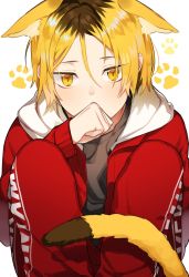 Rule 34 | 1boy, animal ears, bad id, bad twitter id, bari dal, blonde hair, cat boy, cat ears, cat tail, clenched hand, haikyuu!!, highres, hood, hoodie, jacket, knees up, kozume kenma, long sleeves, looking at viewer, male focus, multicolored hair, open clothes, pants, paw print, paw print background, sitting, solo, tail, two-tone hair, yellow eyes
