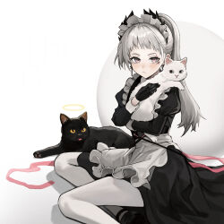 Rule 34 | 1girl, animal, apron, arknights, beruko14, black cat, black dress, black gloves, blush, cat, closed mouth, dress, feet out of frame, frilled apron, frills, gloves, grey eyes, grey hair, halo, highres, holding, holding animal, holding cat, irene (arknights), irene (voyage of feathers) (arknights), juliet sleeves, long hair, long sleeves, looking at viewer, maid, maid headdress, official alternate costume, pantyhose, pink eyes, pink ribbon, ponytail, puffy sleeves, ribbon, scar, scar across eye, solo, waist apron, white apron, white background, white cat, white pantyhose, yellow halo