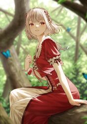 Rule 34 | 1girl, blonde hair, blue butterfly, bug, butterfly, dress, elf, elu (nijisanji), fagi (kakikaki), forest, frilled dress, frilled headband, frills, hand up, highres, insect, looking to the side, multicolored clothes, nature, nijisanji, open mouth, outdoors, pointy ears, puffy short sleeves, puffy sleeves, red eyes, red ribbon, ribbon, short hair, short sleeves, sitting, solo, two-tone dress