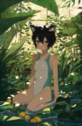 Rule 34 | 1girl, animal ears, arm support, bare shoulders, black eyes, black hair, blush, breasts, cat ears, cat girl, commentary request, competition swimsuit, dappled sunlight, day, hair between eyes, highres, kgt (pixiv12957613), lily pad, looking at viewer, one-piece swimsuit, original, plant, short hair, sitting, small breasts, smile, solo, sunlight, swimsuit, wariza, water, white one-piece swimsuit, window