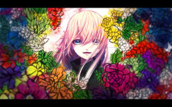 Rule 34 | 1girl, absurdres, black sweater, blue eyes, blue flower, blue rose, brush stroke, floral background, flower, hair between eyes, hair over one eye, highres, kiumu gackpo, leia (vocaloid), looking at viewer, megurine luka, open mouth, orange flower, paint stains, pink hair, poppy (flower), purple flower, red flower, rose, signature, smile, solo, sweater, turtleneck, turtleneck sweater, vocaloid, white flower, white rose, wind