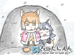 Rule 34 | 10s, 2girls, aged down, animal ears, black hair, blazer, bodystocking, brown hair, chibi, closed eyes, coat, crossed arms, fox ears, fox tail, full body, fur trim, grey wolf (kemono friends), head on another&#039;s shoulder, height difference, igloo, jacket, jacket on shoulders, japari symbol, kemono friends, leaning on person, leaning to the side, long hair, long sleeves, looking at another, looking to the side, medium hair, multicolored hair, multiple girls, murakami kou (raye), necktie, open mouth, plaid, plaid neckwear, plaid skirt, side-by-side, sitting, skirt, sleeping, smile, snow, snow shelter, snowing, swept bangs, tail, tail wrap, tibetan fox (kemono friends), tsurime, two-tone hair, undersized clothes, white hair, wolf ears, yellow eyes