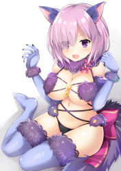Rule 34 | 1girl, :d, animal ears, black panties, blush, breasts, claws, cleavage, elbow gloves, eyes visible through hair, fang, fate/grand order, fate (series), fur-trimmed gloves, fur-trimmed legwear, fur trim, gloves, hair over one eye, halloween costume, lace, lace-trimmed legwear, lace trim, large breasts, looking at viewer, maccha, mash kyrielight, mash kyrielight (dangerous beast), navel, no shoes, o-ring, o-ring top, official alternate costume, open mouth, panties, purple eyes, purple hair, red ribbon, revealing clothes, ribbon, simple background, sitting, smile, solo, tail, thighhighs, underwear, wariza, white background, wolf ears, wolf tail