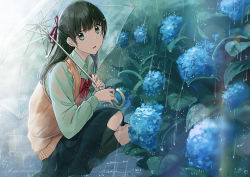 Rule 34 | 1girl, black hair, black skirt, black thighhighs, blue eyes, blue flower, blurry, blurry foreground, bow, dripping, flower, green eyes, hair ribbon, highres, holding, holding umbrella, kazuharu kina, long hair, looking at viewer, multicolored eyes, open mouth, original, outdoors, rain, red bow, red ribbon, ribbon, skirt, solo, squatting, thighhighs, transparent, transparent umbrella, umbrella
