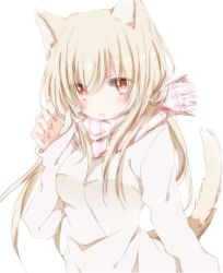 Rule 34 | 1girl, animal ears, blonde hair, blush, cat ears, cat tail, fang, fringe trim, hand up, hiro (hirohiro31), looking at viewer, open mouth, original, pink scarf, plaid, plaid scarf, red eyes, scarf, simple background, sleeves past wrists, solo, sweater, tail, white background