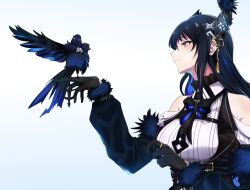 Rule 34 | 1girl, absurdres, animal, animal on head, bare shoulders, bird, bird on head, black bow, black bowtie, black gloves, black hair, black horns, blue eyes, bow, bowtie, breasts, closed mouth, colored inner hair, crow, fur trim, gloves, hair ornament, hand up, highres, hololive, hololive english, horns, jewelry, knew nothing, large breasts, long hair, looking at animal, mole, mole under eye, multicolored hair, nerissa ravencroft, nerissa ravencroft (1st costume), on head, red eyes, ring, shadow (nerissa ravencroft), simple background, solo, tassel, tassel hair ornament, two-tone hair, virtual youtuber, white background