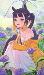 Rule 34 | 1girl, absurdres, blue eyes, blunt bangs, blurry, coat, commentary, depth of field, dress, fang, flat chest, flower, flower request, gradient hair, hair flower, hair ornament, highres, hololive, hololive english, kiwwwwwi, knees up, long hair, looking at viewer, multicolored hair, ninomae ina&#039;nis, off shoulder, open mouth, orange hair, outdoors, pointy ears, ponytail, purple hair, raincoat, sidelocks, sitting, smile, solo, spaghetti strap, sundress, tentacle hair, umbrella, very long hair, violet (ninomae ina&#039;nis), virtual youtuber, white dress, yellow coat