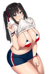 Rule 34 | 1girl, arm up, black hair, blue eyes, blush, bra, bracelet, breasts, cleavage, clothes in mouth, clothes lift, covered erect nipples, curvy, french flag, french flag bikini, french flag print, gym shorts, highres, huge breasts, jewelry, lifting own clothes, long hair, looking up, navel, original, shirt, shirt lift, shorts, smile, solo, stomach, thick thighs, thighs, twintails, underwear, zonda (solid air)