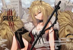 Rule 34 | 1girl, animal, animal ears, arknights, bare arms, black jacket, blonde hair, breasts, brown eyes, bruise, cleavage, collar, collarbone, expressionless, fur collar, hirosenpaii, injury, jacket, lion, lion ears, long hair, looking at viewer, medium breasts, open clothes, open jacket, polearm, ponytail, red shorts, shirt, short shorts, shorts, siege (arknights), sitting, sleeveless, sleeveless shirt, solo, weapon, white shirt