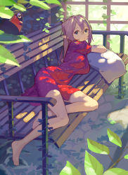 Rule 34 | 1girl, bad id, bad twitter id, barefoot, bench, bird, blue eyes, breasts, closed mouth, dappled sunlight, day, dress, expressionless, frilled sleeves, frills, green eyes, hair between eyes, highres, leaf, light brown hair, long hair, looking at viewer, looking back, lying, medium breasts, multicolored eyes, on side, original, outdoors, pillow, plant, pointy ears, ponytail, puffy short sleeves, puffy sleeves, red dress, short sleeves, sidelocks, solo, stone floor, sunlight, timbougami, toes, toucan, wooden bench