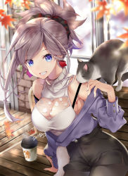 Rule 34 | 1girl, akatsuki hijiri, alternate costume, animal, autumn leaves, bare shoulders, bench, black pantyhose, black shorts, blue eyes, breasts, buttons, casual, cat, cleavage cutout, closed eyes, clothing cutout, commentary request, earrings, fate/grand order, fate (series), grey hair, hair ornament, high-waist pants, jacket, jewelry, large breasts, leaf, licking, long sleeves, miyamoto musashi (fate), off shoulder, on bench, open clothes, open jacket, outdoors, pants, pantyhose, ponytail, purple jacket, see-through, shorts, sideboob, signature, sitting, sleeveless, sleeveless turtleneck, smile, teeth, turtleneck, window, wooden bench