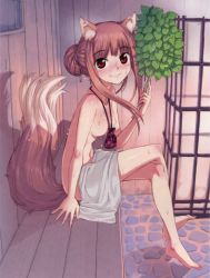 Rule 34 | 1girl, absurdres, animal ears, breasts, brown hair, covering privates, fang, feet, from side, hair bun, highres, holo, jewelry, koume keito, long hair, medium breasts, necklace, nude, nude cover, pouch, red eyes, resized, sauna, single hair bun, sitting, smile, solo, spice and wolf, tail, third-party edit, towel, upscaled, wolf ears, wolf tail