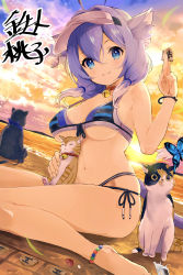 Rule 34 | 1girl, :3, ahoge, animal, animal ears, bare arms, barefoot, beach, bead anklet, bell, between fingers, bikini, blue eyes, blush, board game, breasts, bug, butterfly, cat, cat ears, cat girl, cat tail, closed mouth, cloud, cloudy sky, collar, dutch angle, hair between eyes, hair ornament, hair over shoulder, highres, holding, insect, jingle bell, large breasts, long hair, looking at viewer, low twintails, navel, neck bell, non-web source, ocean, original, purple bikini, purple hair, red collar, sand, shogi, side-tie bikini bottom, sitting, sky, solo, striped bikini, striped clothes, sunset, swimsuit, tail, tetsujin momoko, twintails, visor cap, wariza, water
