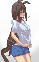 Rule 34 | 1girl, admire vega (umamusume), animal ears, blue shorts, brown hair, clothes pull, commentary request, ear ornament, from side, highres, horse ears, horse girl, horse tail, long hair, looking at viewer, partial commentary, pulled by self, purple eyes, ryouta (ryouta335), shirt, shirt pull, shorts, simple background, solo, t-shirt, tail, umamusume, white background, white shirt