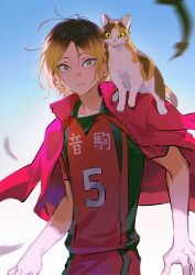 1boy absurdres animal animal_on_shoulder backlighting bishounen bloom calico_cat cat cat_on_shoulder closed_mouth cowboy_shot falling_feathers feathers gradient_background haikyuu!! highres jacket jacket_on_shoulders jiuniaoshan kozume_kenma light_frown looking_at_viewer male_focus motion_blur pink_jacket solo split_mouth wind yellow_eyes