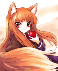 Rule 34 | 1girl, animal ears, apple, brown hair, eating, fang, food, fruit, highres, holding, holding food, holding fruit, holo, red eyes, solo, spice and wolf, tail, wolf ears, wolf tail, yume shokunin