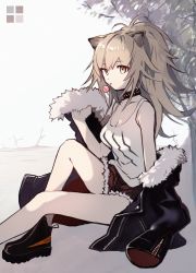 Rule 34 | 1girl, animal ears, arknights, black collar, black footwear, black jacket, blonde hair, boots, breasts, candy, cleavage, collar, food, foot out of frame, fuco, fur-trimmed jacket, fur-trimmed shorts, fur trim, highres, jacket, knee up, leather, leather jacket, lion ears, lollipop, mouth hold, ponytail, red shorts, shorts, siege (arknights), sitting, solo, studded collar, tank top, tree, white tank top, yellow eyes