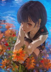 Rule 34 | 1girl, black hair, black skirt, black thighhighs, blue sailor collar, brown eyes, commentary, dress shirt, earrings, flower, foreshortening, from above, highres, jewelry, lips, long sleeves, looking at viewer, looking to the side, looking up, orange flower, original, outdoors, pink lips, pleated skirt, sailor collar, school uniform, serafuku, shirt, short hair, skirt, solo, squatting, thighhighs, wang-xi, water, white shirt