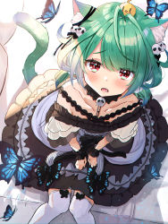 Rule 34 | 1girl, absurdres, ahoge, amefukura art, animal ear fluff, animal ears, blush, breasts, bug, butterfly, cat ears, cat tail, choker, collarbone, dress, fang, frilled dress, frills, garter straps, gothic lolita, green hair, hair ornament, hands on lap, highres, hololive, insect, lolita fashion, looking at viewer, medium hair, open mouth, red eyes, short sleeves, short twintails, sidelocks, sitting, skull hair ornament, small breasts, tail, thighhighs, twintails, uruha rushia, uruha rushia (3rd costume), virtual youtuber, wrist cuffs