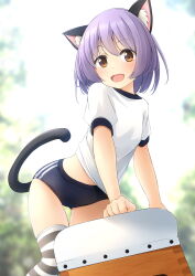 Rule 34 | 1girl, :d, animal ear fluff, animal ears, black buruma, blurry, blurry background, buruma, cat ears, cat girl, cat tail, commentary request, depth of field, fang, gym shirt, gym uniform, hair between eyes, highres, looking at viewer, midriff peek, open mouth, orange eyes, original, puffy short sleeves, puffy sleeves, purple eyes, shibacha, shirt, short sleeves, smile, solo, striped clothes, striped thighhighs, tail, thighhighs, vaulting horse, white shirt