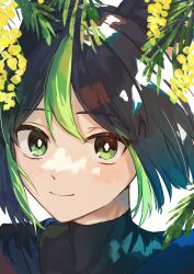 Rule 34 | 1boy, absurdres, animal ears, black hair, black shirt, bright pupils, close-up, closed mouth, dappled sunlight, double-parted bangs, foliage, genshin impact, green eyes, green hair, hanging plant, highres, leaf, light smile, looking at viewer, male focus, mimoza (mmmimoza 5), multicolored hair, portrait, shirt, short hair, simple background, solo, split mouth, sunlight, tighnari (genshin impact), turtleneck, two-tone hair, white background, white pupils