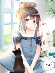 Rule 34 | 1girl, :3, absurdres, animal, bare shoulders, black cat, blue shirt, blush, brown hair, cat, cat hair ornament, closed mouth, collarbone, commentary request, hair between eyes, hair bun, hair ornament, head tilt, highres, indoors, looking at viewer, off-shoulder shirt, off shoulder, on floor, original, overalls, plant, potted plant, purple eyes, ryoutan, shirt, short sleeves, sidelocks, single hair bun, sitting, smile, solo, window, wooden floor, x hair ornament