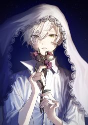 Rule 34 | 1boy, absurdres, brown eyes, flower, hair between eyes, highres, holding, holding flower, long neck, looking at viewer, male focus, night, night sky, original, shirt, sky, solo, upper body, white hair, white shirt, white xxxx