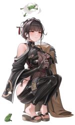 Rule 34 | 1girl, absurdres, black hair, black unitard, blunt bangs, blush, bodystocking, breast curtains, breasts, brown coat, closed mouth, clothing cutout, coat, coat on shoulders, covered navel, frog, goddess of victory: nikke, hair ornament, hairpin, highres, hip vent, holster, knife belt, kunai, kurone rinka, large breasts, long sleeves, official alternate costume, sakura (midnight stealth) (nikke), sakura (nikke), sandals, see-through, shoulder cutout, squatting, summoning, thigh holster, turtleneck, weapon, zouri