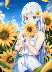 Rule 34 | 1girl, absurdres, blue eyes, blue sky, blurry, blurry foreground, blush, cloud, day, depth of field, dress, field, flower, flower field, hair flower, hair ornament, highres, holding, holding flower, long hair, na kyo, original, outdoors, petals, silver hair, sky, sleeveless, sleeveless dress, smile, solo, sundress, sunflower, sunflower field, sunflower hair ornament, very long hair, white dress, yellow flower