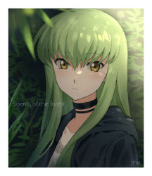 Rule 34 | 1girl, absurdres, black choker, black jacket, blurry, blurry foreground, border, brown eyes, c.c., choker, closed mouth, code geass, collarbone, green hair, hair between eyes, highres, hood, hood down, hooded jacket, inkqaq, jacket, long hair, looking at viewer, open clothes, open jacket, portrait, solo, straight hair, sweater, title, white border, white sweater
