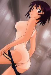 Rule 34 | 1girl, anus, ass, azumanga daiou, back, black hair, blush, breasts, censored, clothes pull, count zero, from behind, highres, kagura (azumanga daioh), leaning forward, looking back, mosaic censoring, nipples, one-piece swimsuit, one-piece swimsuit pull, photo background, purple eyes, pussy, short hair, sideboob, solo, spiked hair, standing, swimsuit, tan, tanline, undressing