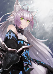 Rule 34 | 1girl, ahoge, animal ears, atalanta (fate), atalanta alter (fate), atalanta alter (first ascension) (fate), bad id, bad pixiv id, bare shoulders, black pantyhose, braid, breasts, claws, closed mouth, collar, commentary request, detached sleeves, dress, fate/grand order, fate (series), green eyes, hair between eyes, highres, long hair, multicolored hair, outstretched arm, pantyhose, serious, silver hair, solo, standing, yukihama