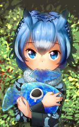 Rule 34 | 10s, 1girl, :3, alternate color, biting, black hair, blue eyes, blue hair, blurry, blurry background, cellien (kemono friends), commentary request, depth of field, ear biting, eurasian eagle owl (kemono friends), fur collar, grey hair, hair between eyes, hair flaps, highres, hug, kemono friends, leaf, long sleeves, looking at viewer, multicolored hair, nature, northern white-faced owl (kemono friends), outdoors, plant, short hair, signature, solo, upper body, welt (kinsei koutenkyoku)