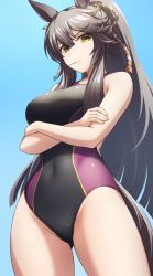 Rule 34 | 1girl, animal ears, bandaid, bandaid on face, bandaid on nose, black hair, black one-piece swimsuit, breasts, commentary request, competition swimsuit, cowboy shot, crossed arms, highres, horse ears, horse girl, horse tail, long hair, medium breasts, mouth hold, multicolored clothes, multicolored swimsuit, narita brian (umamusume), one-piece swimsuit, pataneet, ponytail, solo, stalk in mouth, swimsuit, tail, umamusume, yellow eyes