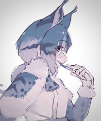 Rule 34 | 1girl, absurdres, animal ears, blue hair, brown eyes, character request, from side, glasses, gloves, grey hair, highres, kemono friends, looking at viewer, parted lips, short hair, solo, teeth, toki reatle, upper body, white gloves