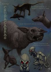 Rule 34 | alien, artist request, chupacabra, collage, creature, highres, monster, no humans, tagme, text focus, tongue, werewolf