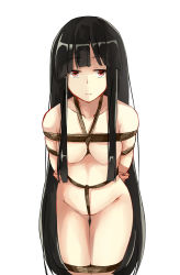 Rule 34 | 1girl, bad id, bad pixiv id, bdsm, black hair, bondage, bound, breasts, convenient censoring, crotch rope, deetamu, expressionless, hair censor, highres, hime cut, houraisan kaguya, long hair, navel, nude, red eyes, shibari, simple background, solo, touhou, very long hair, white background